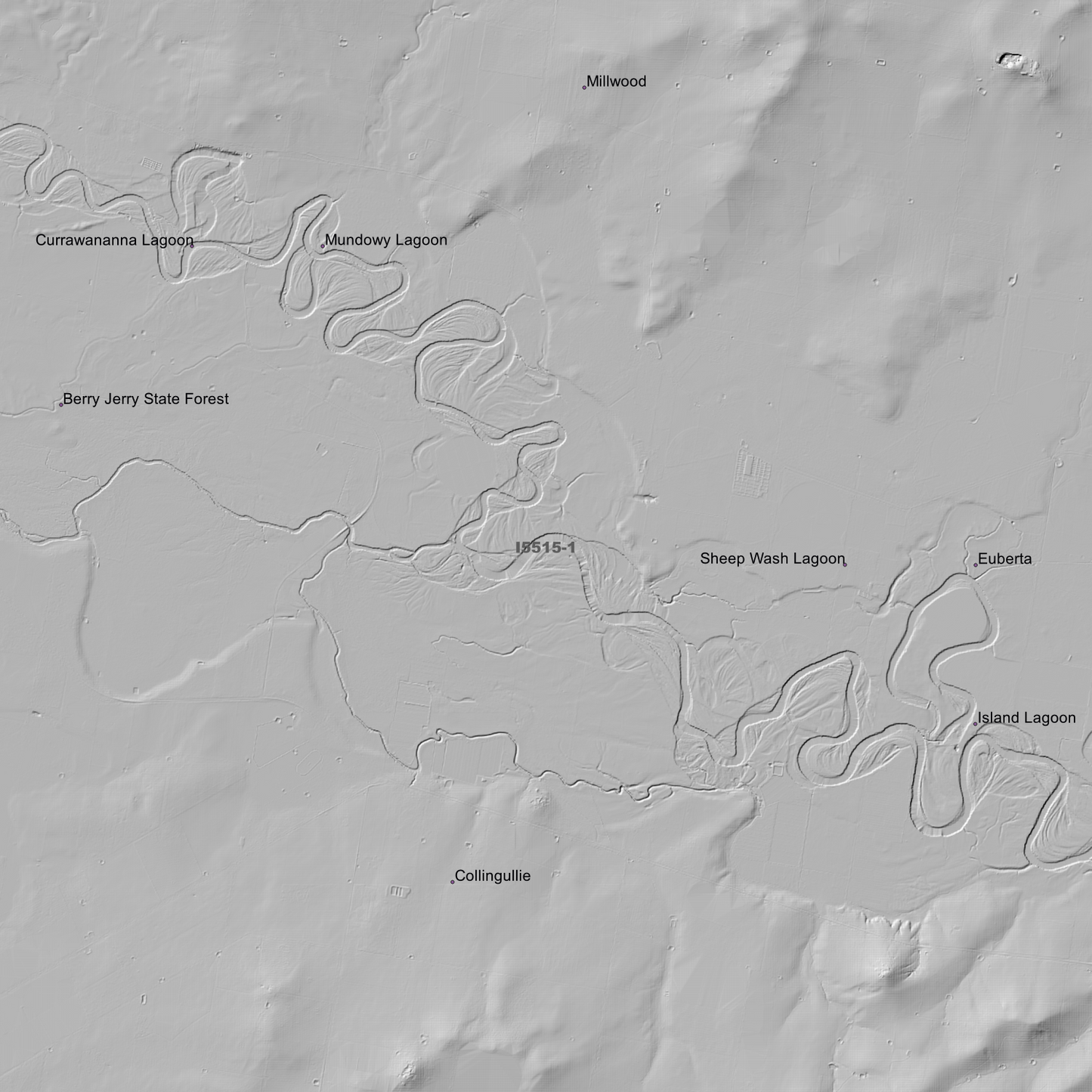 Collingullie 1m & 5m Digital Elevation Models (I5515-1)