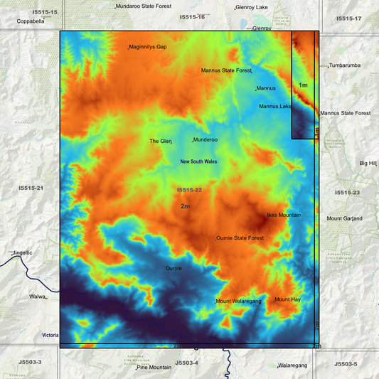 Mannus 1m & 2m Digital Elevation Models (I5515-22)
