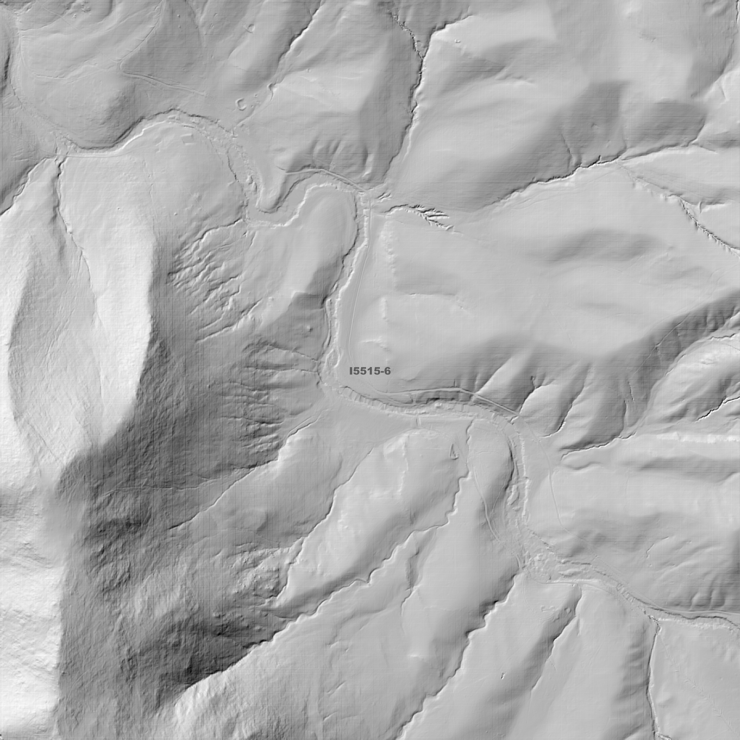 Billapaloola 1m & 2m Digital Elevation Models (I5515-6)