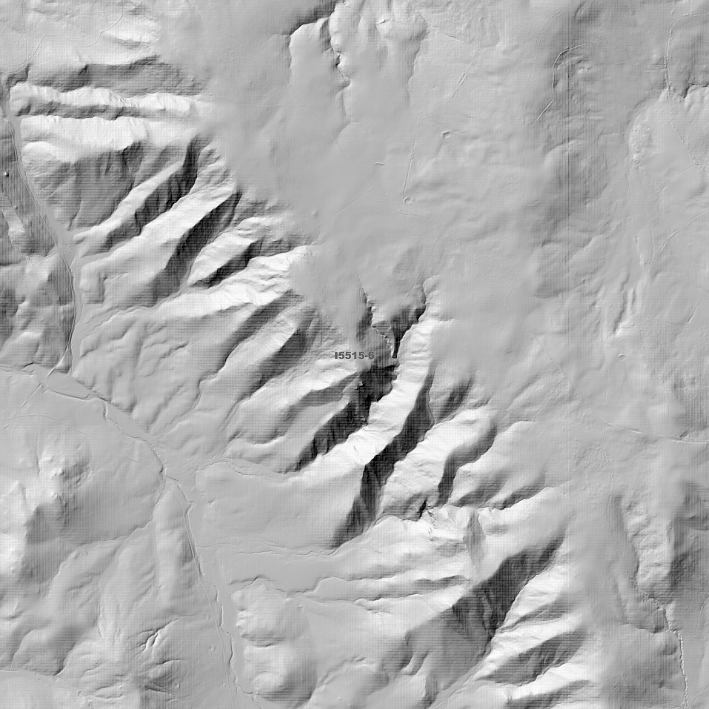 Billapaloola 1m & 2m Digital Elevation Models (I5515-6)