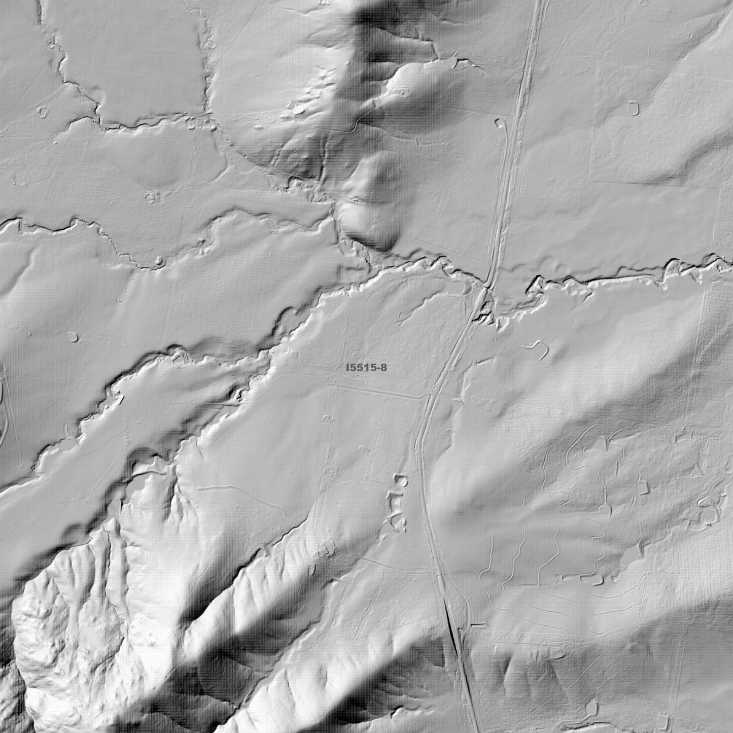 Livingstone 1m & 5m Digital Elevation Models (I5515-8)