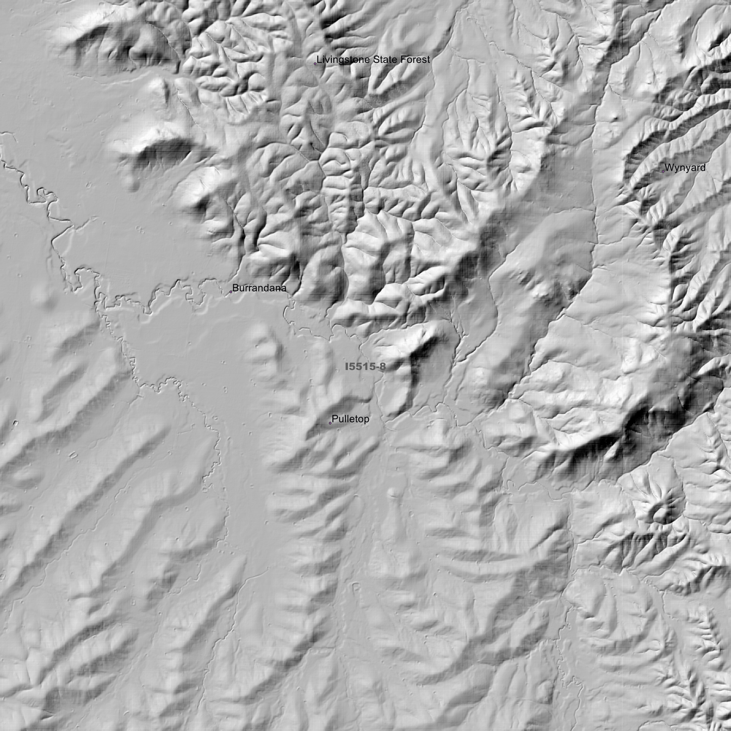 Livingstone 1m & 5m Digital Elevation Models (I5515-8)