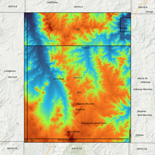 Tarcutta 1m & 5m Digital Elevation Models (I5515-9)