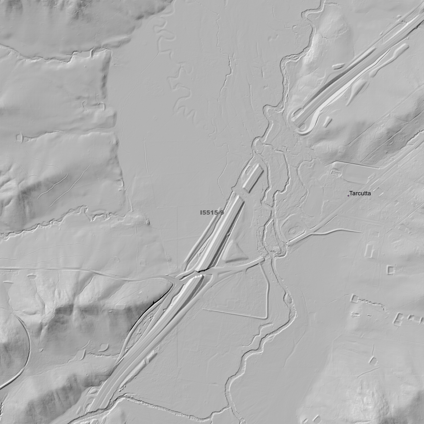 Tarcutta 1m & 5m Digital Elevation Models (I5515-9)