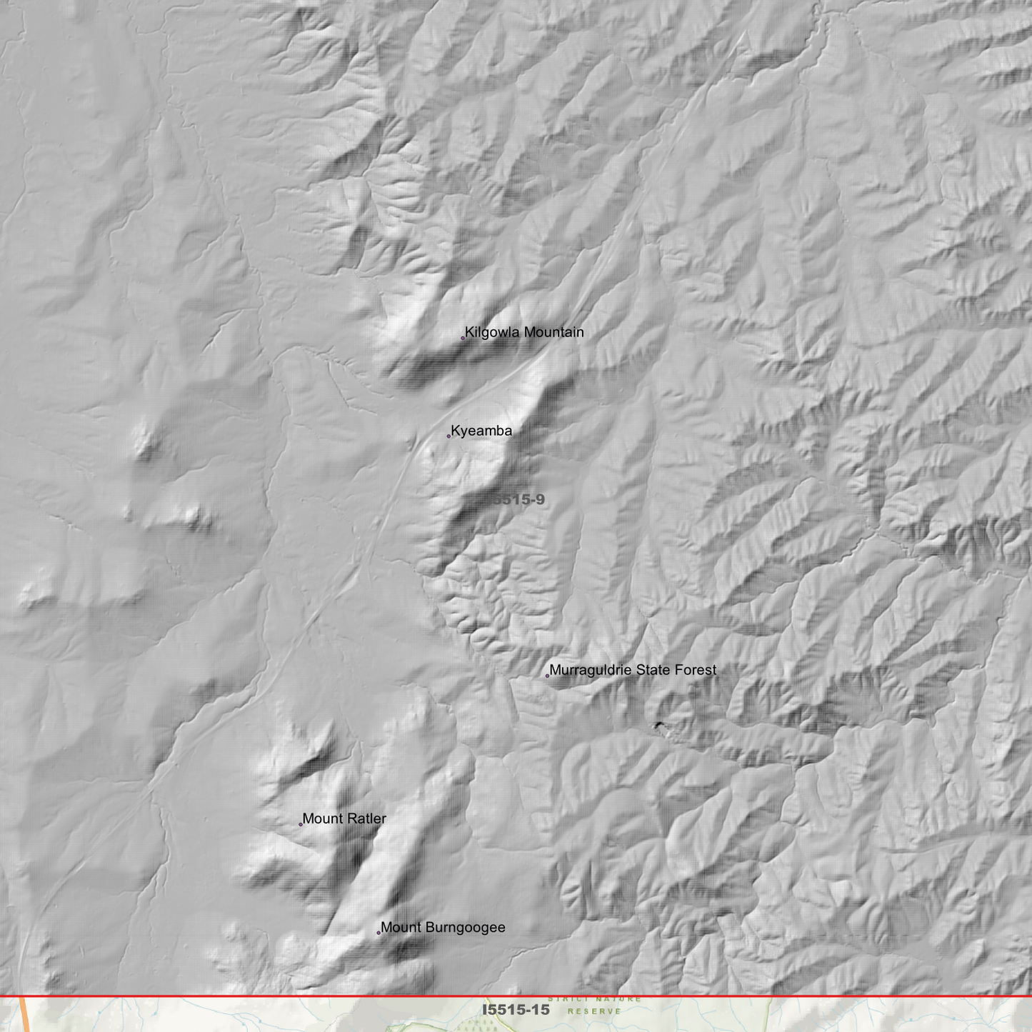 Tarcutta 1m & 5m Digital Elevation Models (I5515-9)