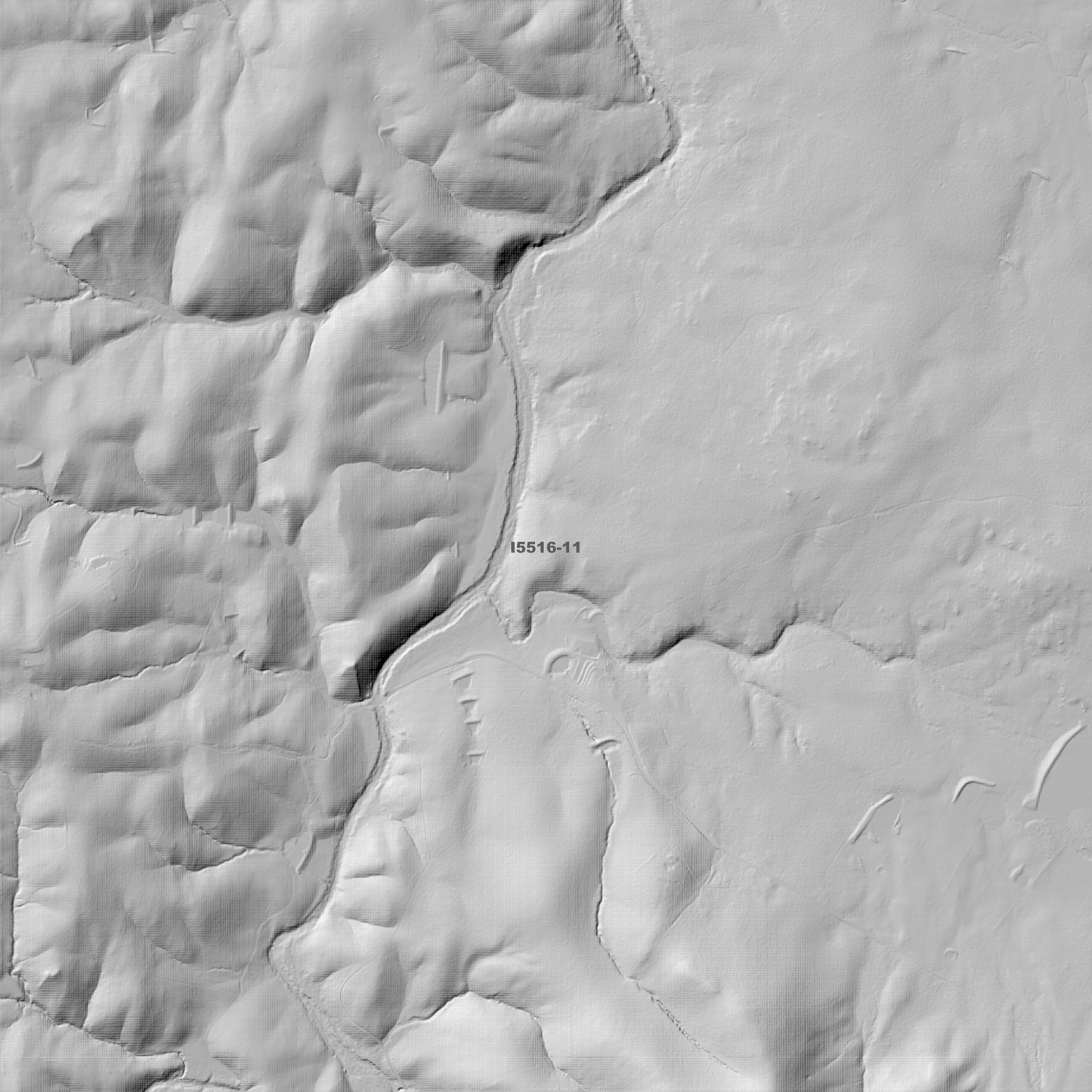 Palerang 1m Digital Elevation Models (I5516-11)