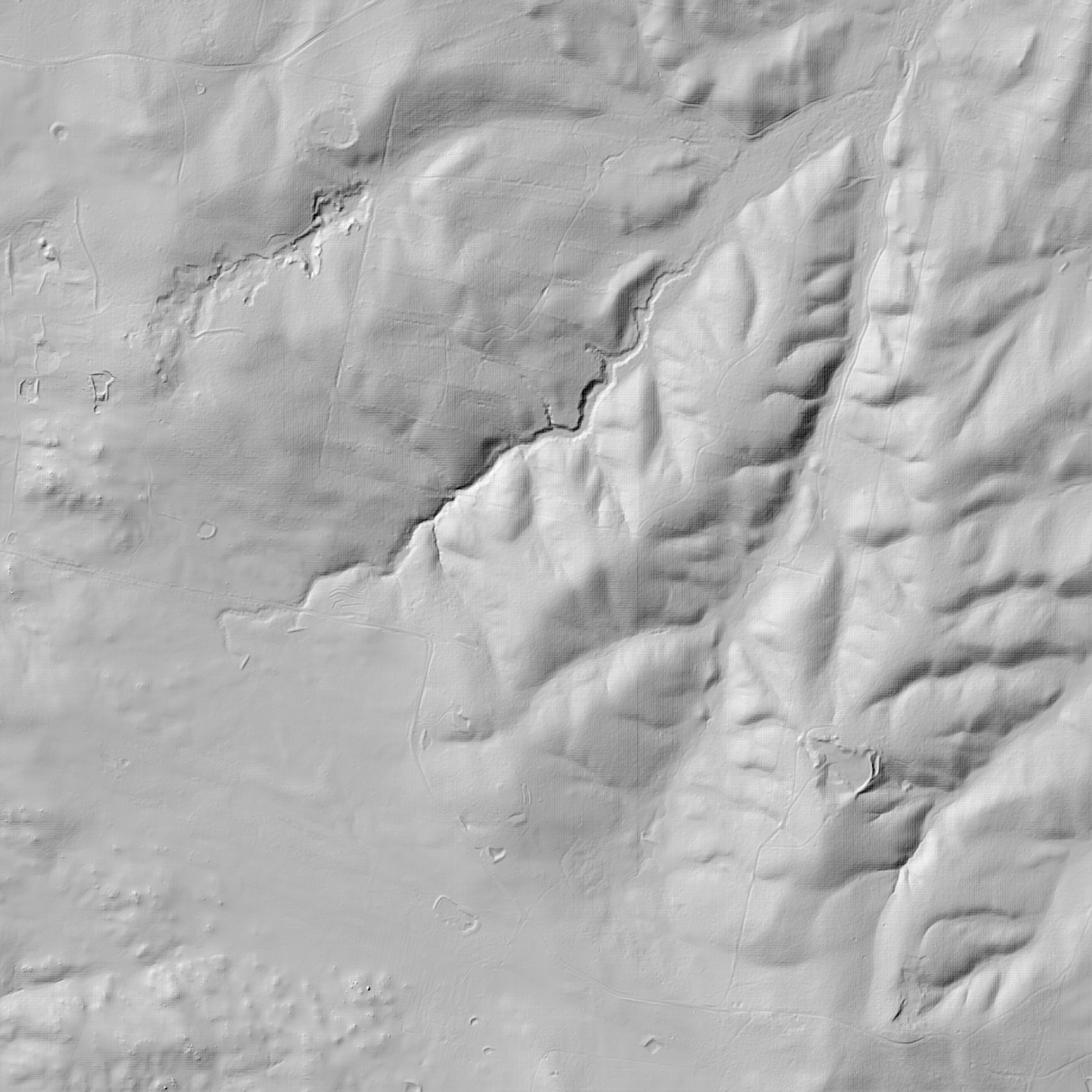 Braidwood 1m & 2m Digital Elevation Models (I5516-12)