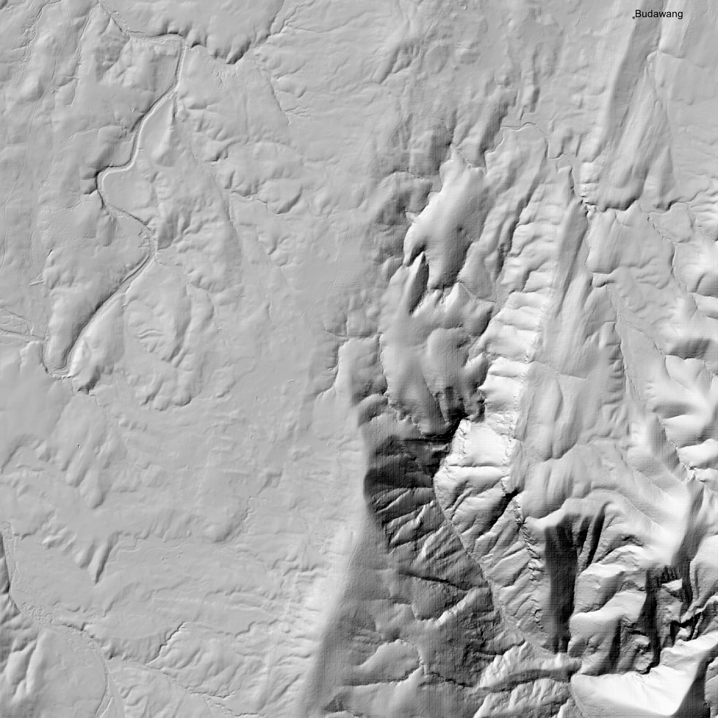 Braidwood 1m & 2m Digital Elevation Models (I5516-12)