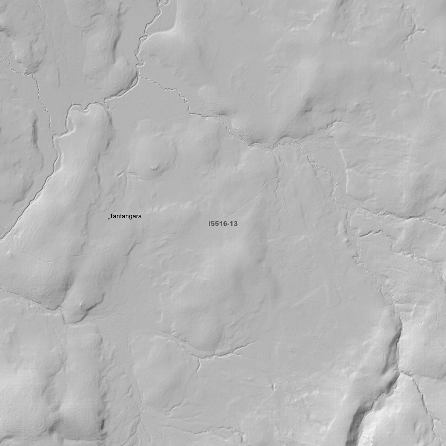 Tantangara 1m & 2m Digital Elevation Models (I5516-13)