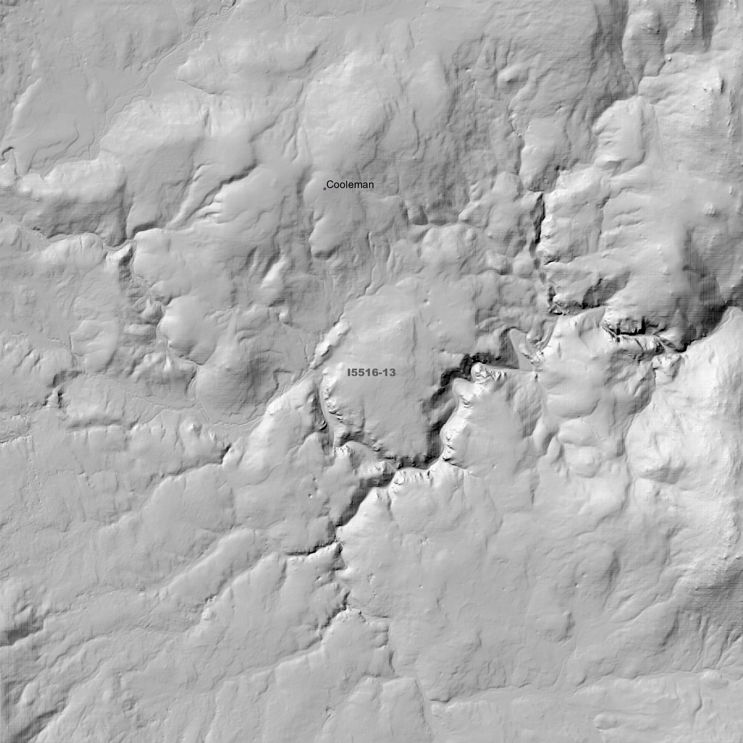 Tantangara 1m & 2m Digital Elevation Models (I5516-13)