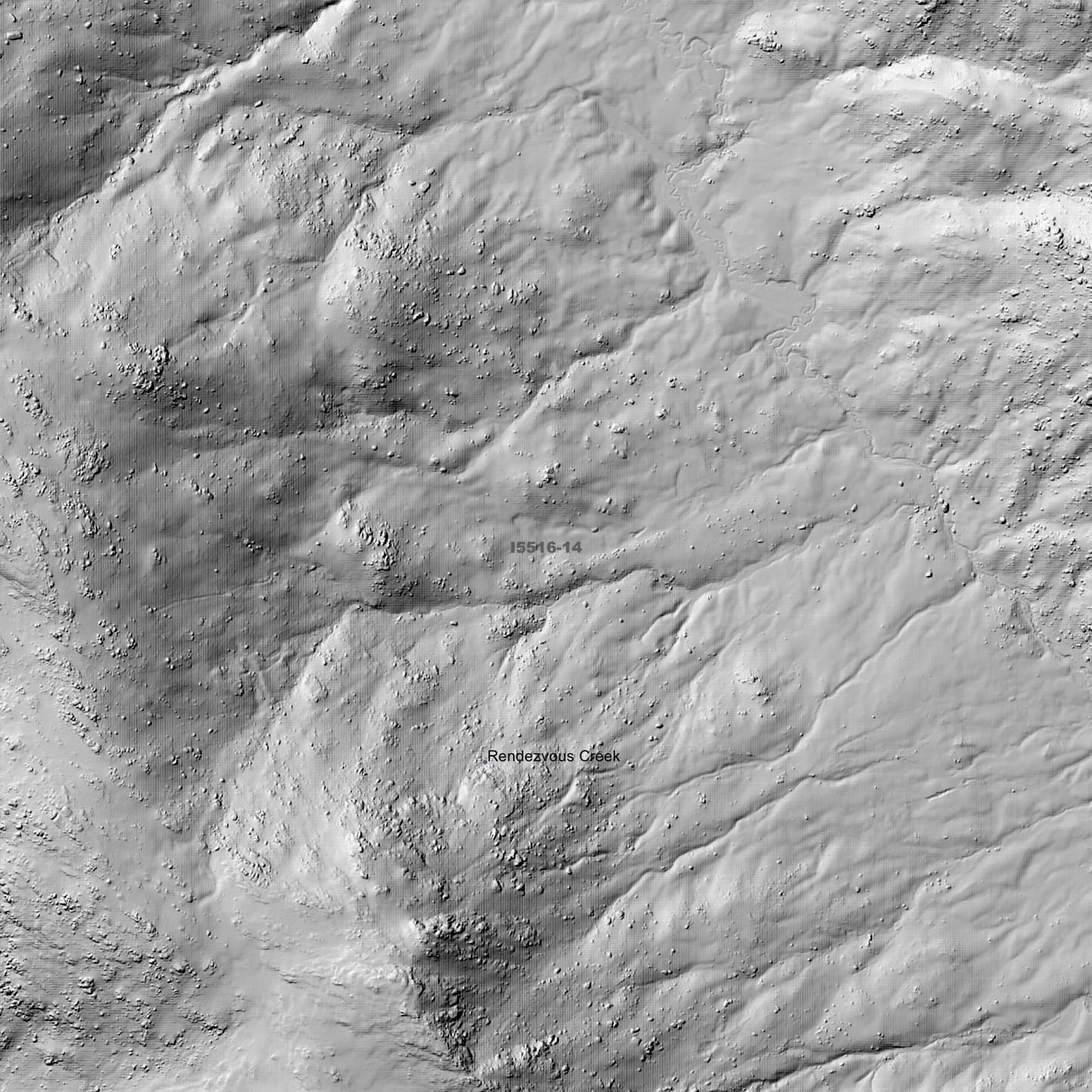 Bimberi 1m Digital Elevation Model (I5516-14)
