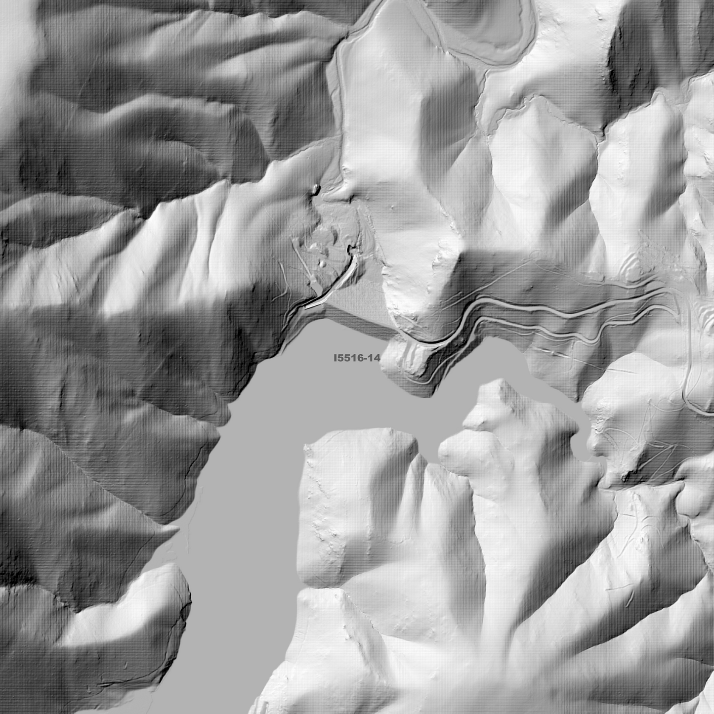 Bimberi 1m & 2m Digital Elevation Models (I5516-14)