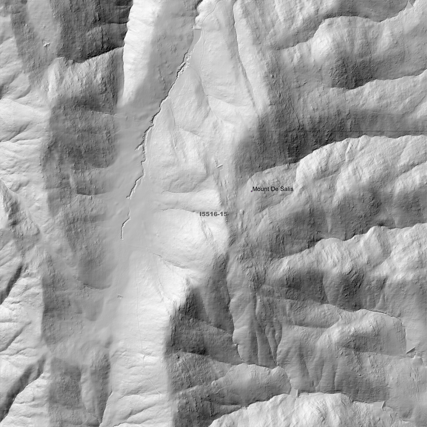 Michelago 1m & 2m Digital Elevation Models (I5516-15)