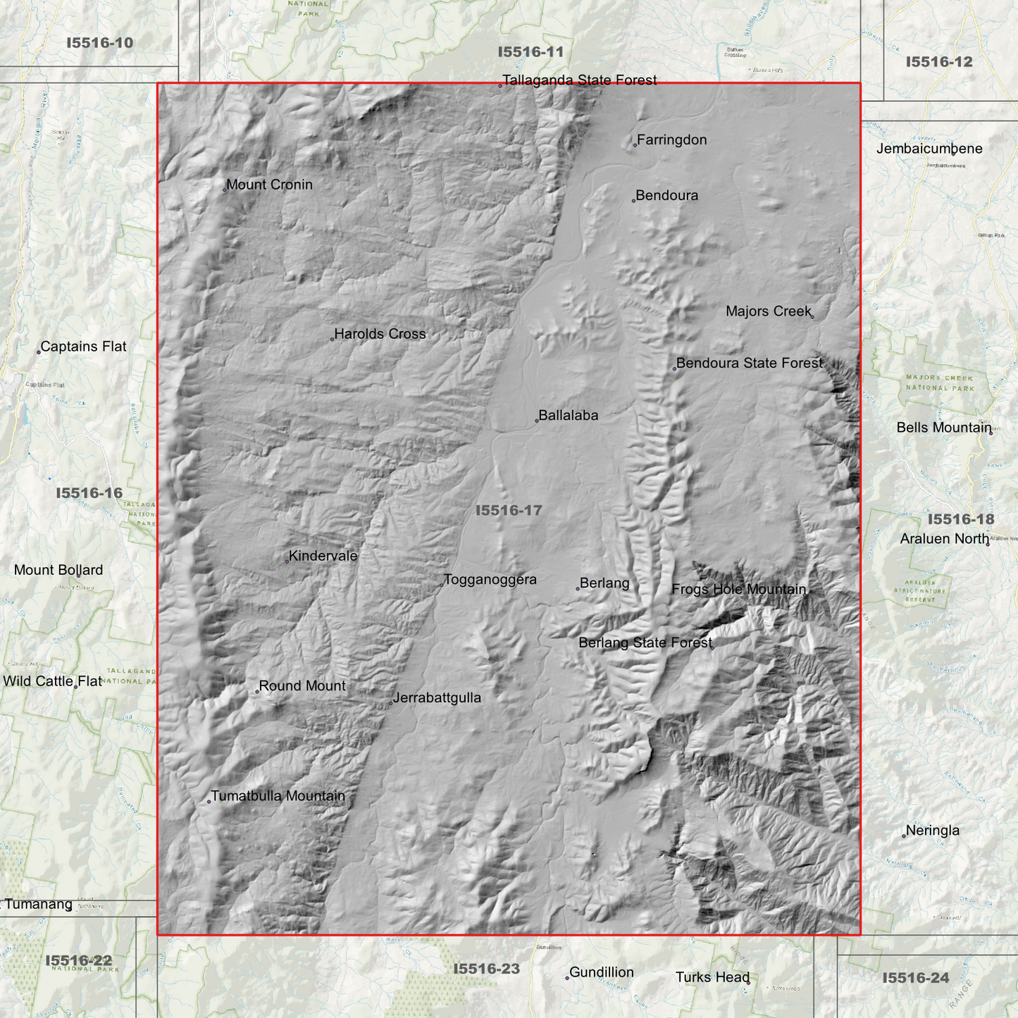 Berlang 1m & 2m Digital Elevation Models (I5516-17)