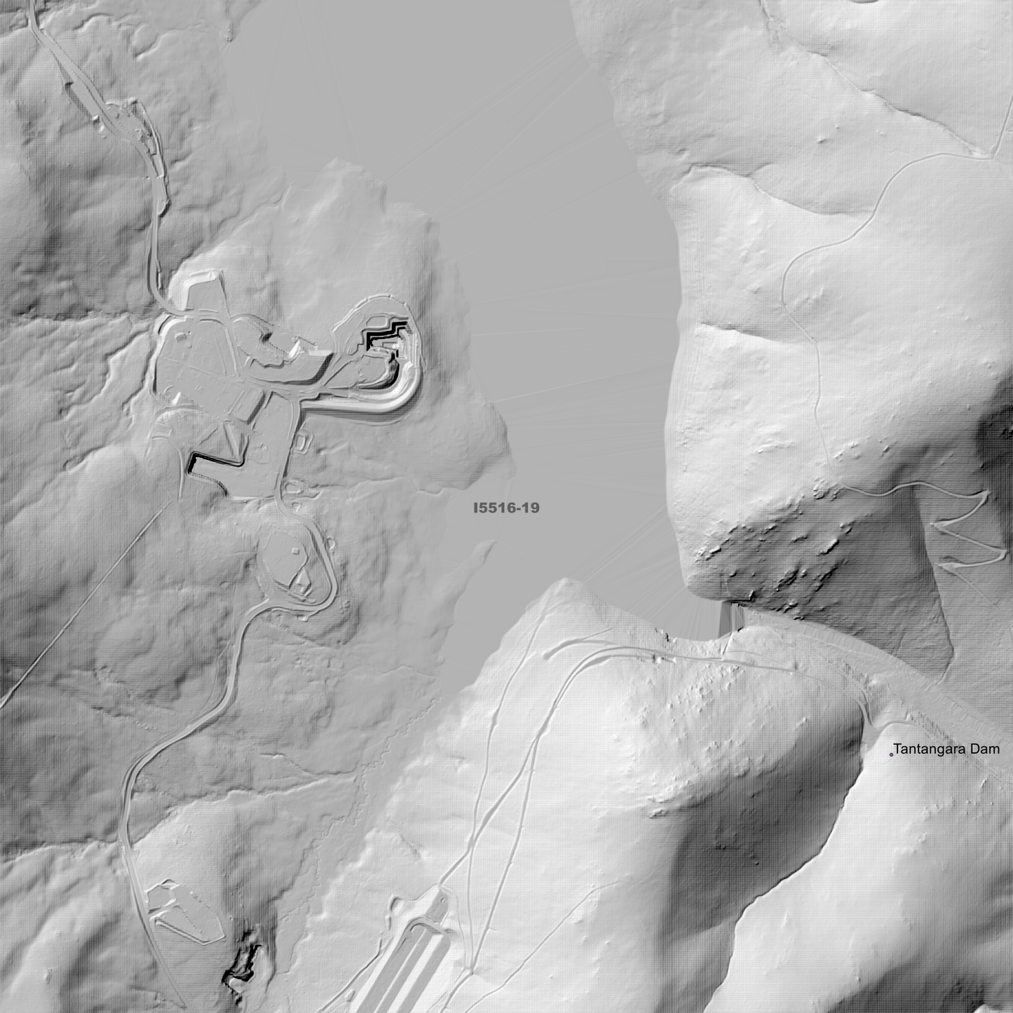 Bugtown 1m & 2m Digital Elevation Models (I5516-19)