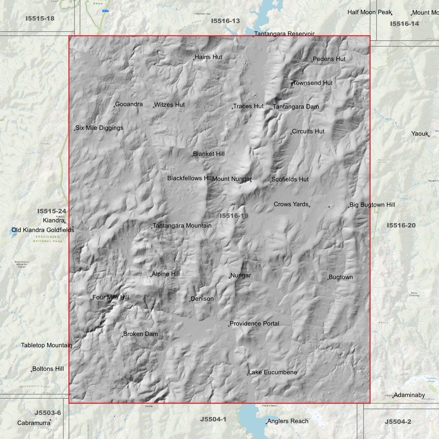 Bugtown 1m & 2m Digital Elevation Models (I5516-19)