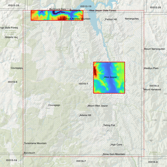 Wee Jasper 1m Digital Elevation Model (I5516-1)