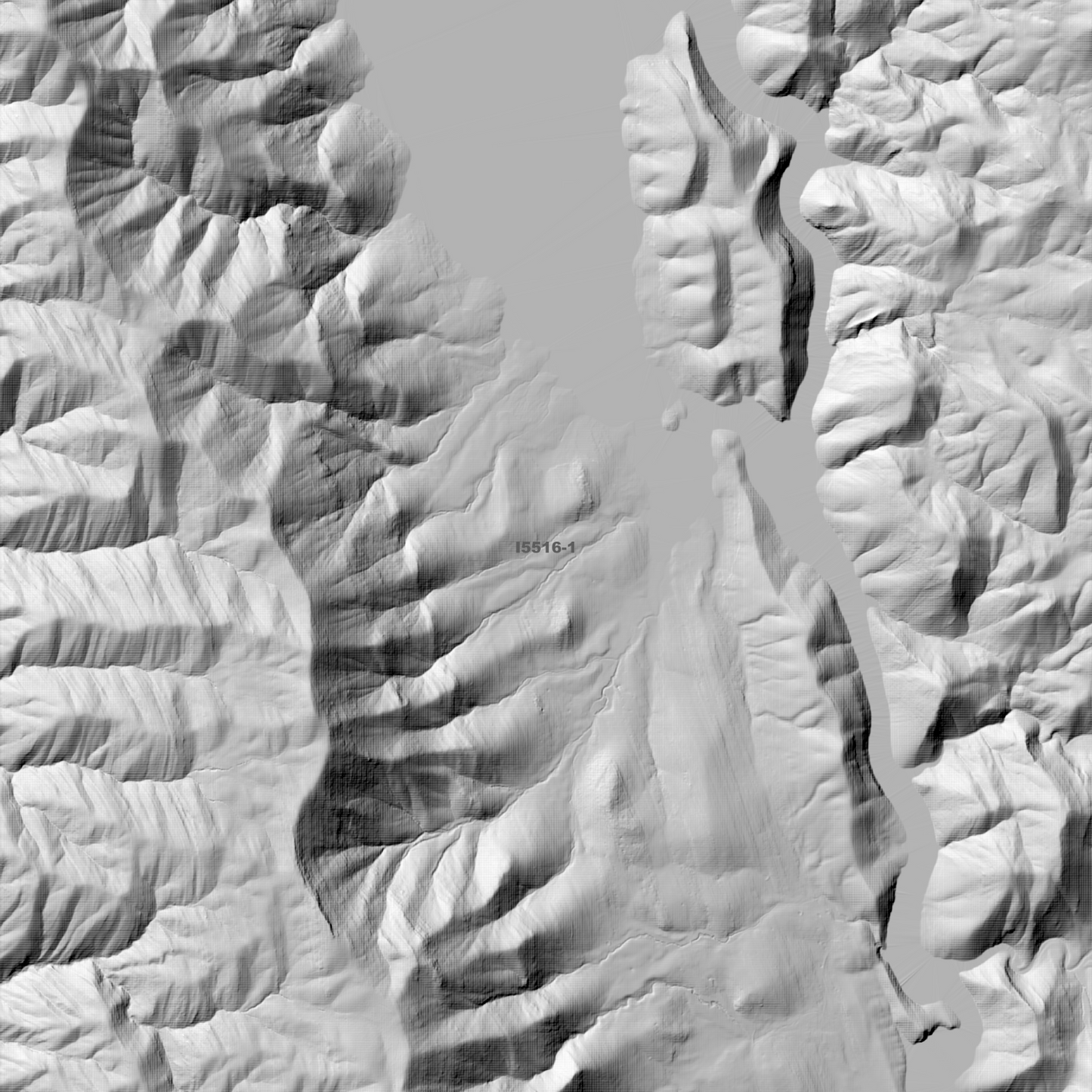 Wee Jasper 1m & 2m Digital Elevation Models (I5516-1)