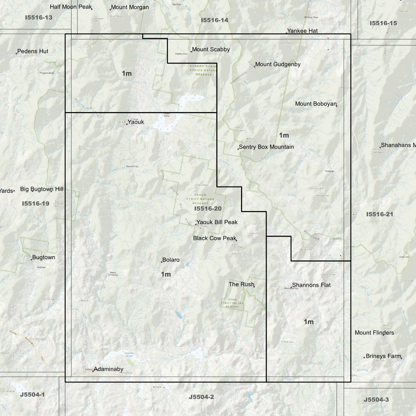 Adaminaby 1m Digital Elevation Models (I5516-20)