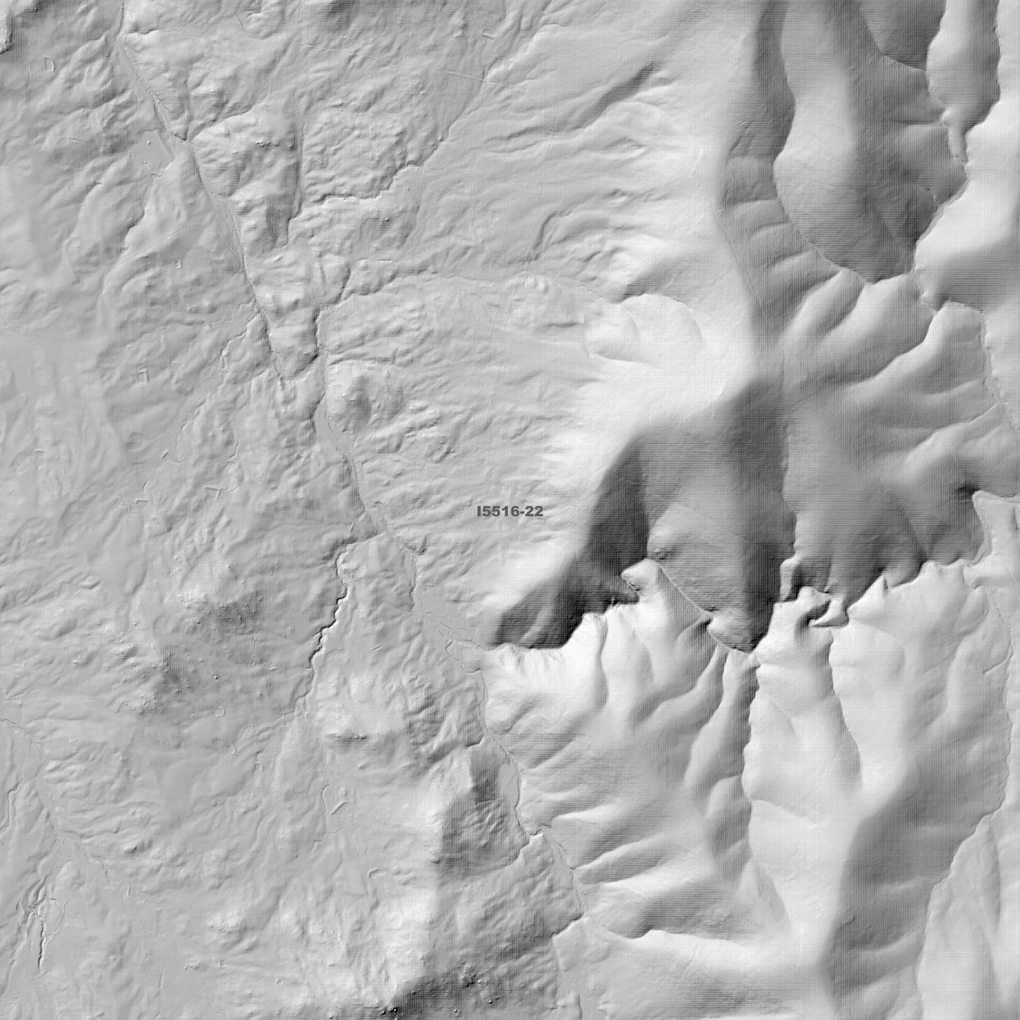 Jerangle 2m Digital Elevation Models (I5516-22)