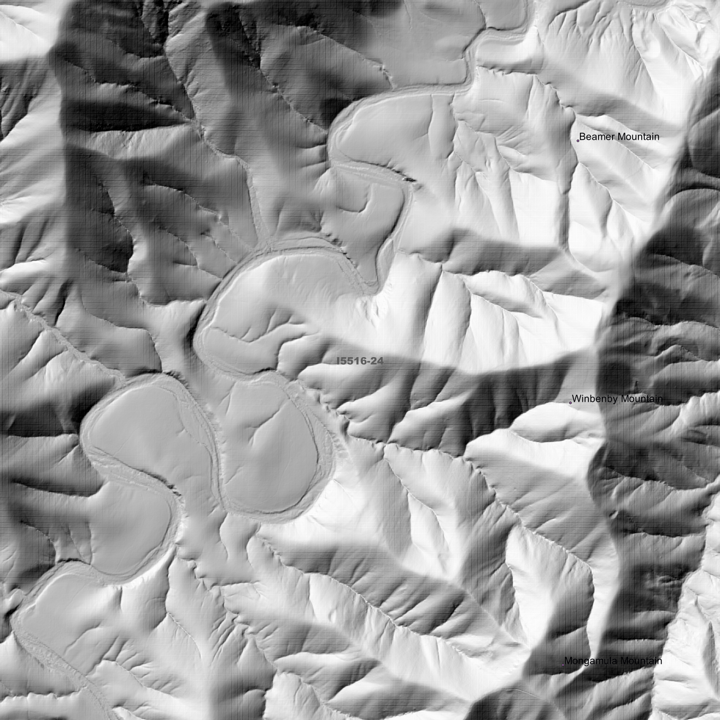 Deua 1m & 2m Digital Elevation Models (I5516-24)