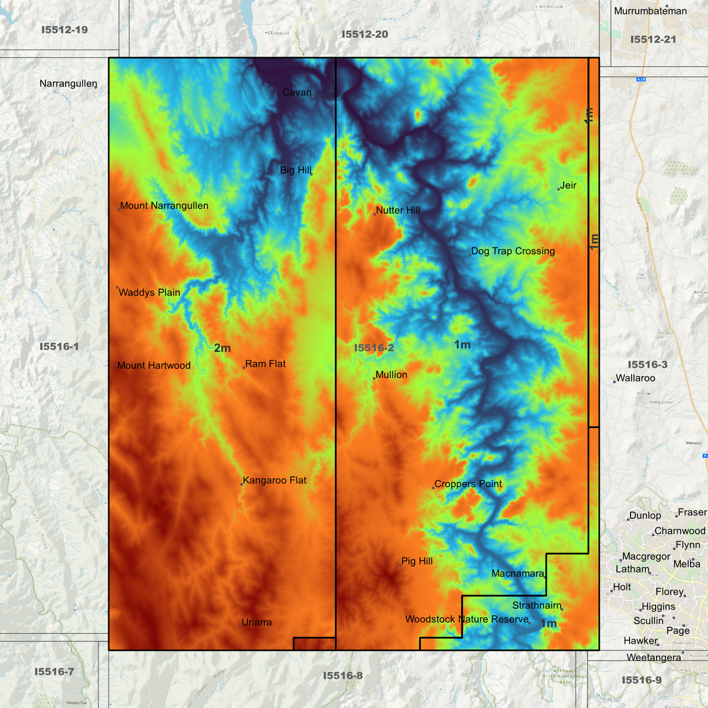 Cavan 1m & 2m Digital Elevation Models (I5516-2)