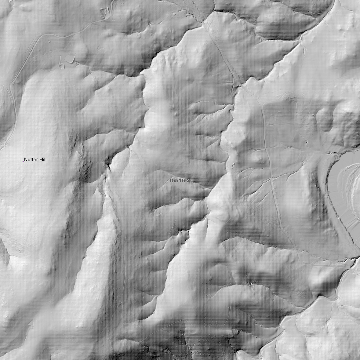 Cavan 1m & 2m Digital Elevation Models (I5516-2)