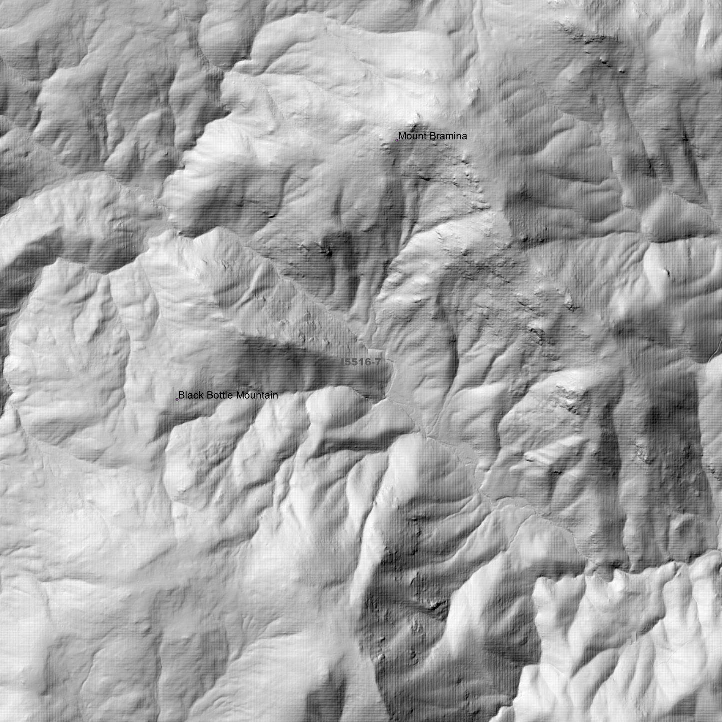 Bramina 1m & 2m Digital Elevation Models (I5516-7)