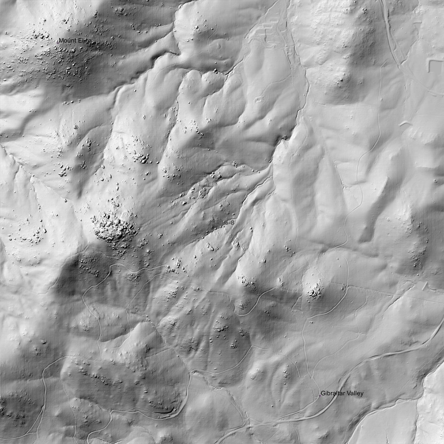 Brindabella 1m & 2m Digital Elevation Models (I5516-8)