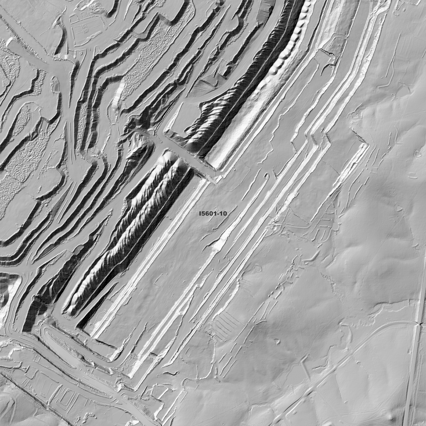 Muswellbrook 1m Digital Elevation Model (I5601-10)
