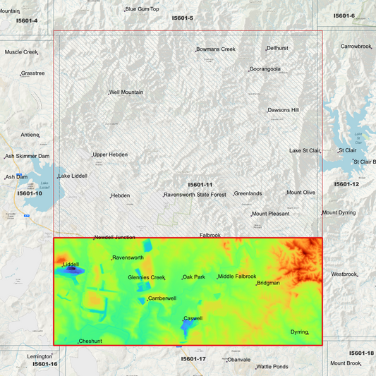 Ravensworth 1m Digital Elevation Model (I5601-11)