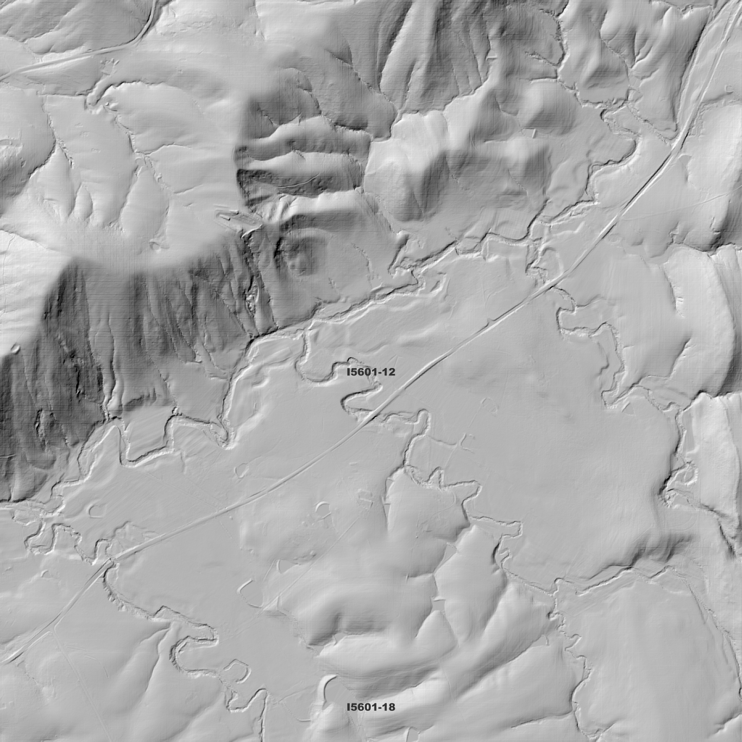 Lostock 1m Digital Elevation Model (I5601-12)