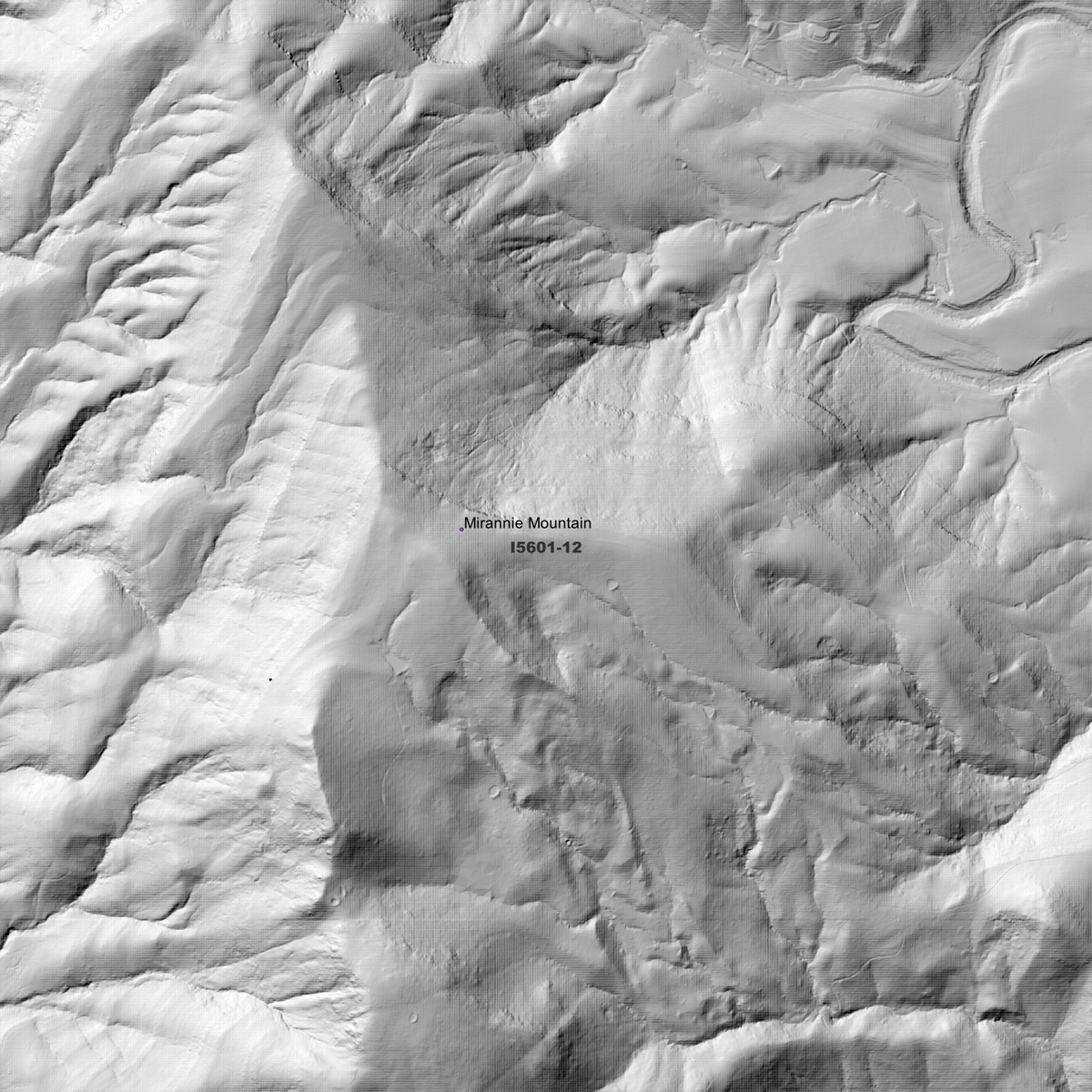 Lostock 1m & 2m Digital Elevation Models (I5601-12)