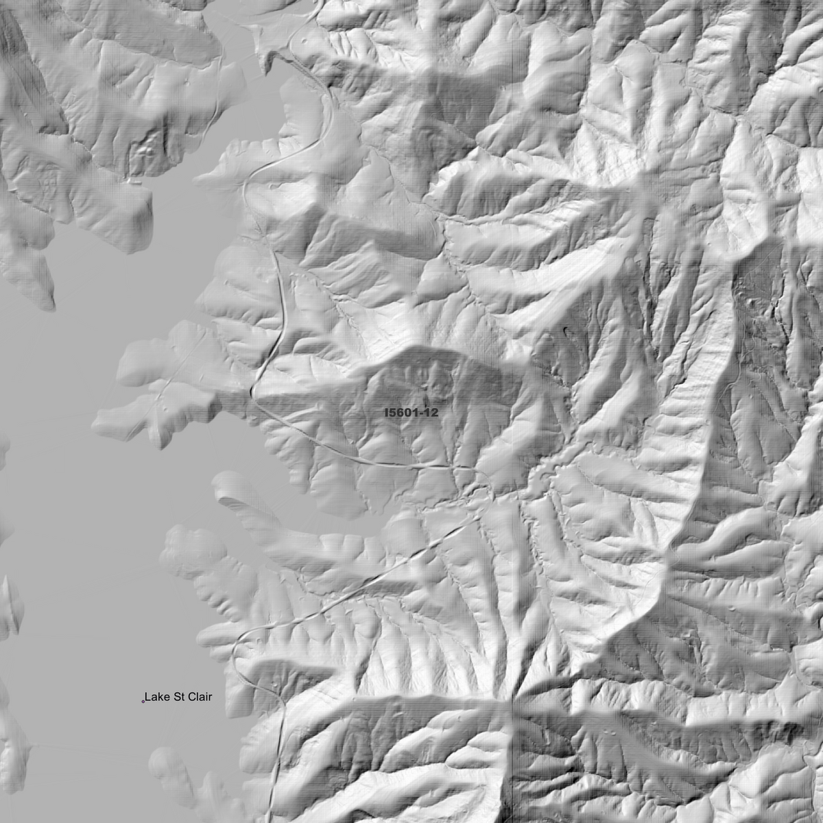 Lostock 1m & 2m Digital Elevation Models (I5601-12)