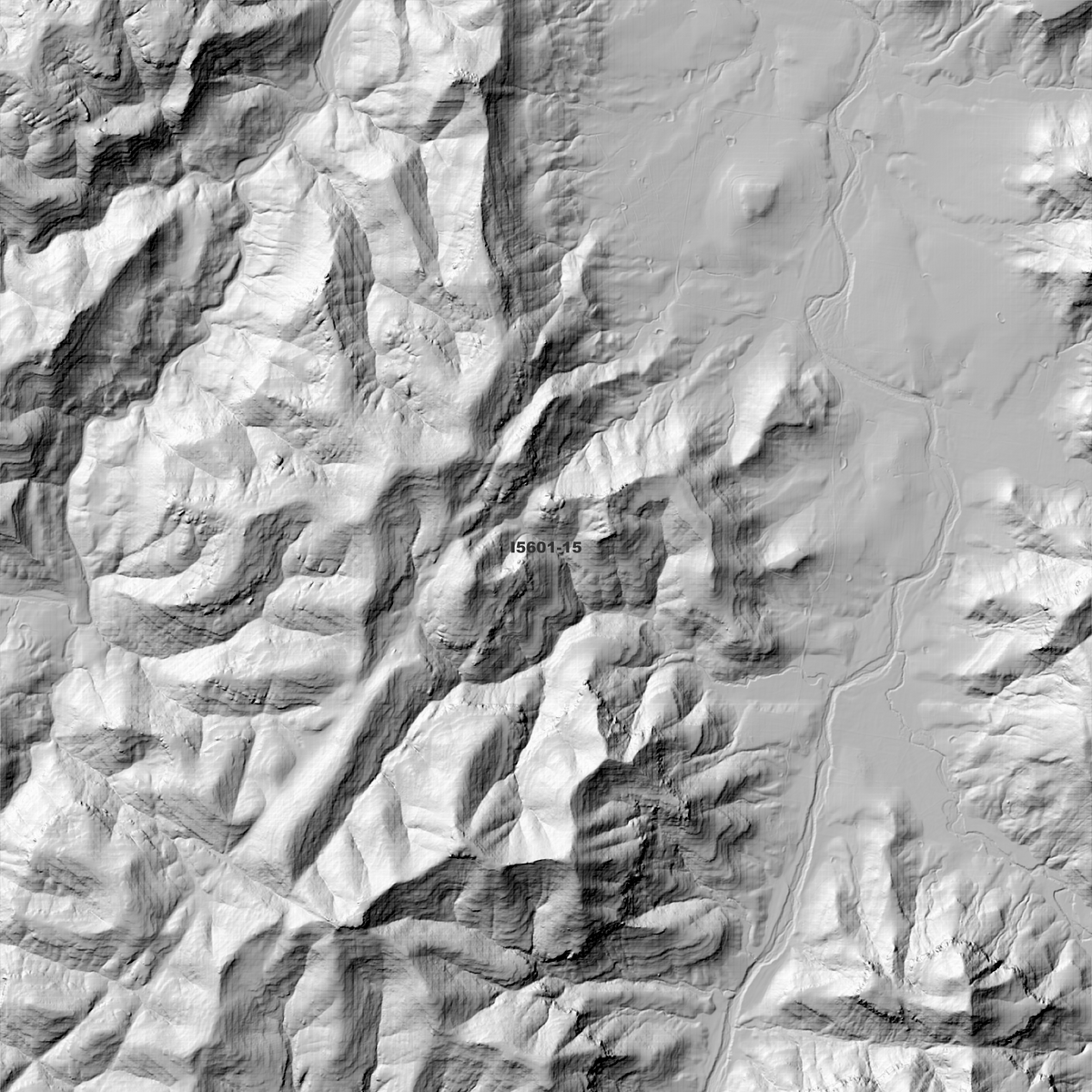 Glen Gallic 2m Digital Elevation Models (I5601-15)