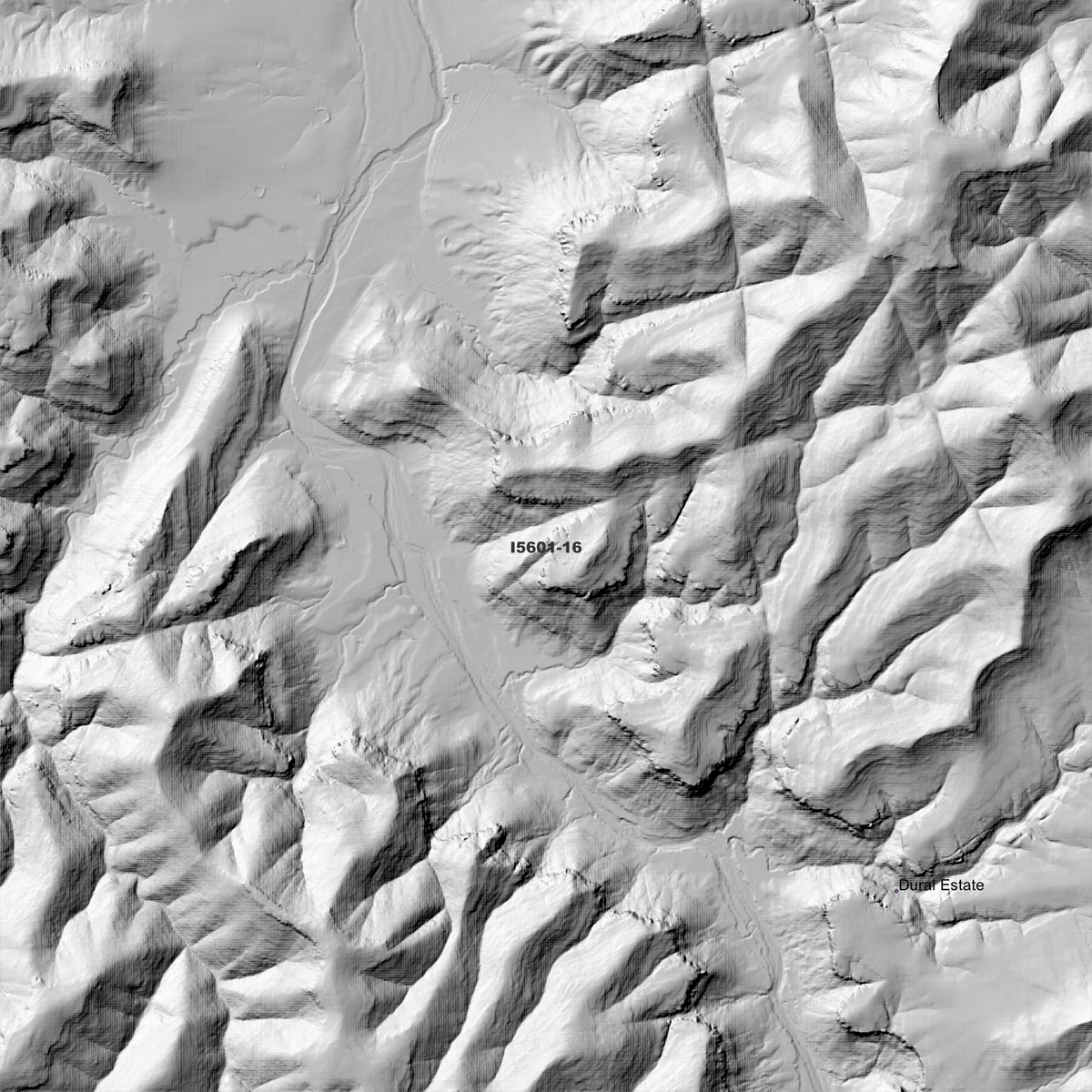 Appletree 1m & 2m Digital Elevation Models (I5601-16)
