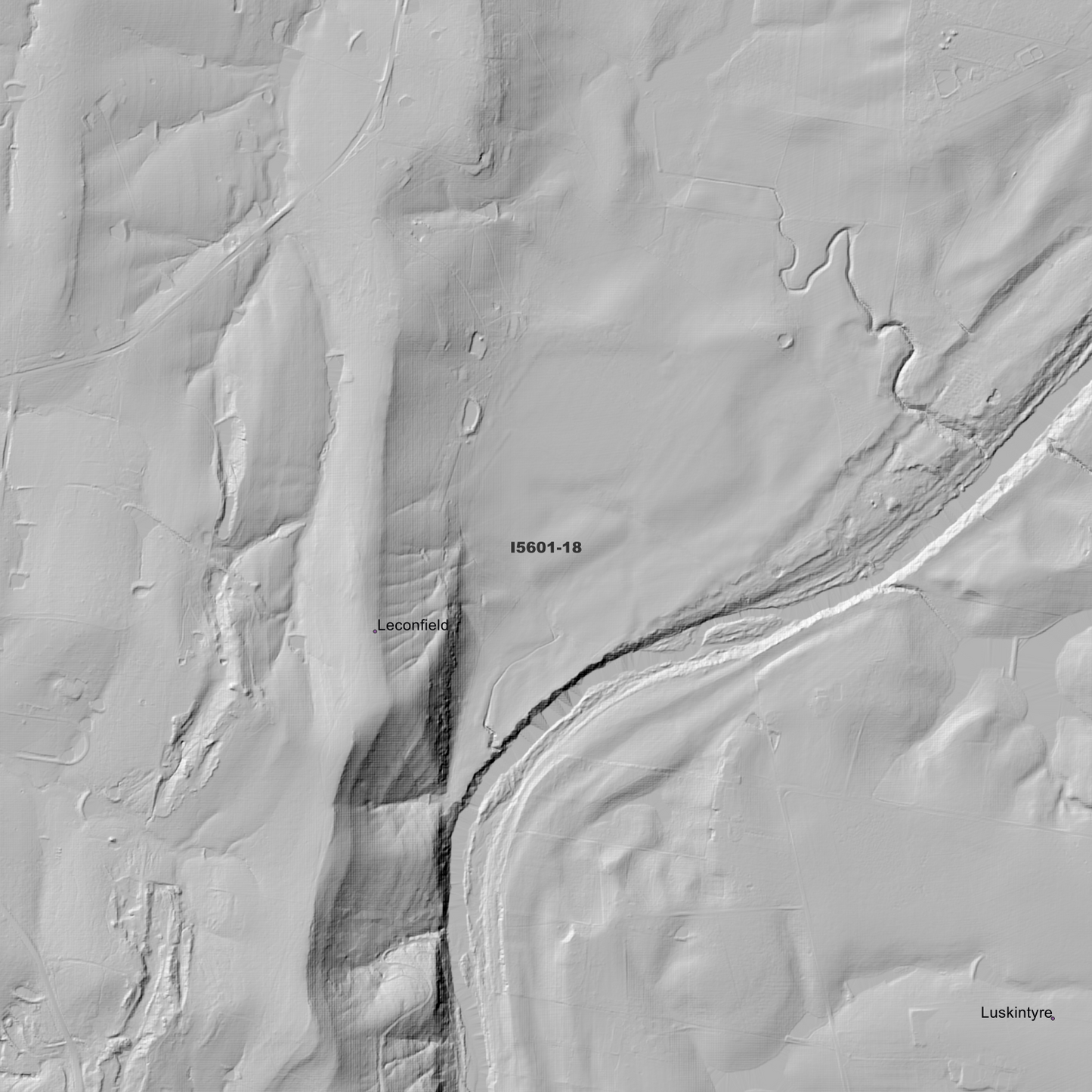 Leconfield 1m Digital Elevation Model (I5601-18)