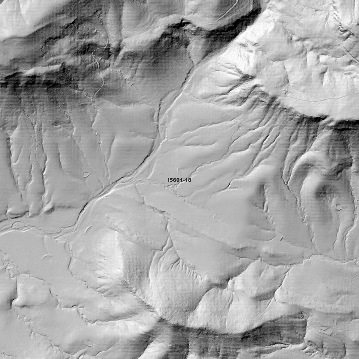 Leconfield 1m Digital Elevation Models (I5601-18)