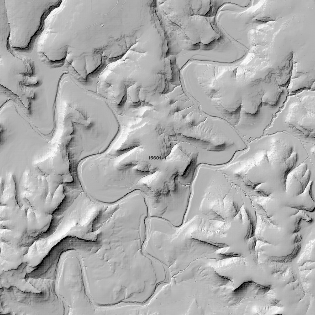 Tongo 2m & 5m Digital Elevation Models (I5601-1)