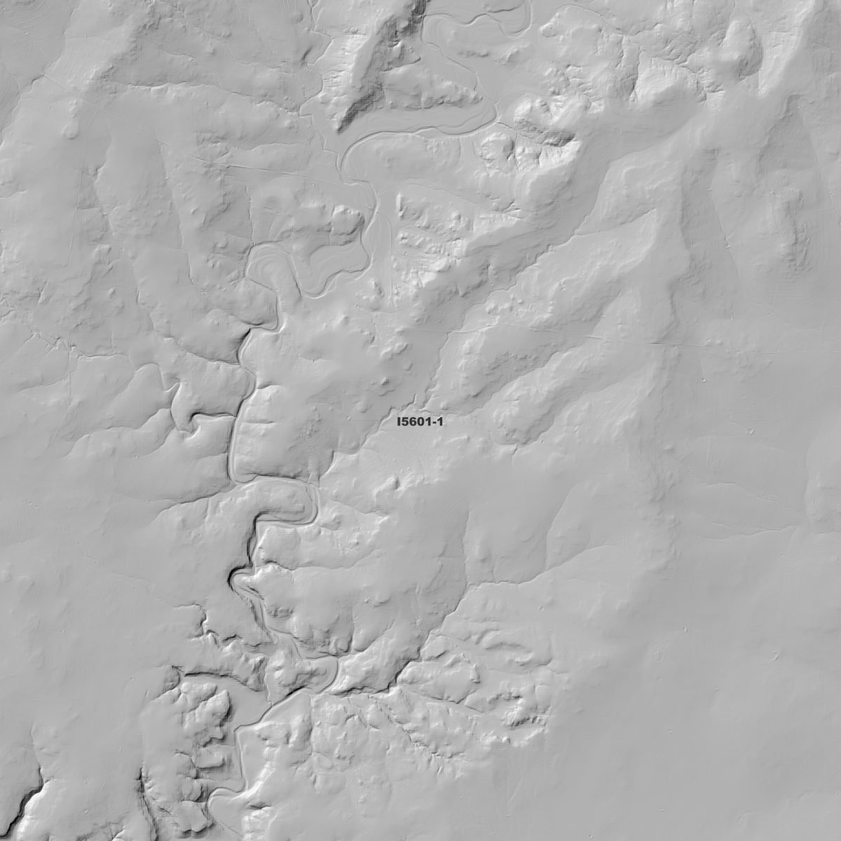 Tongo 2m & 5m Digital Elevation Models (I5601-1)