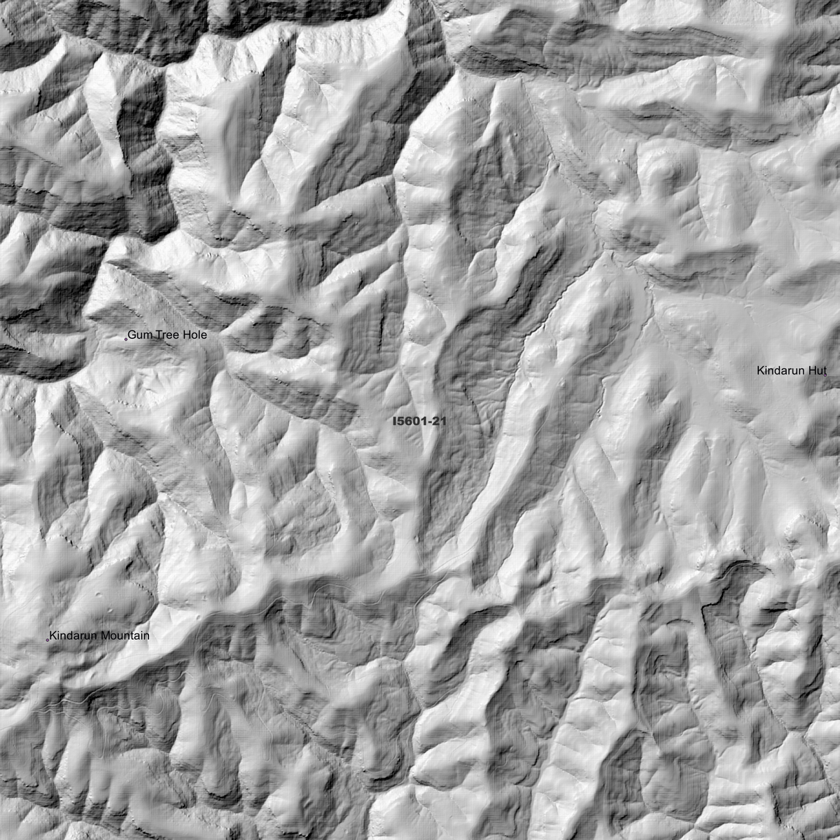 Kindarun 2m Digital Elevation Models (I5601-21)