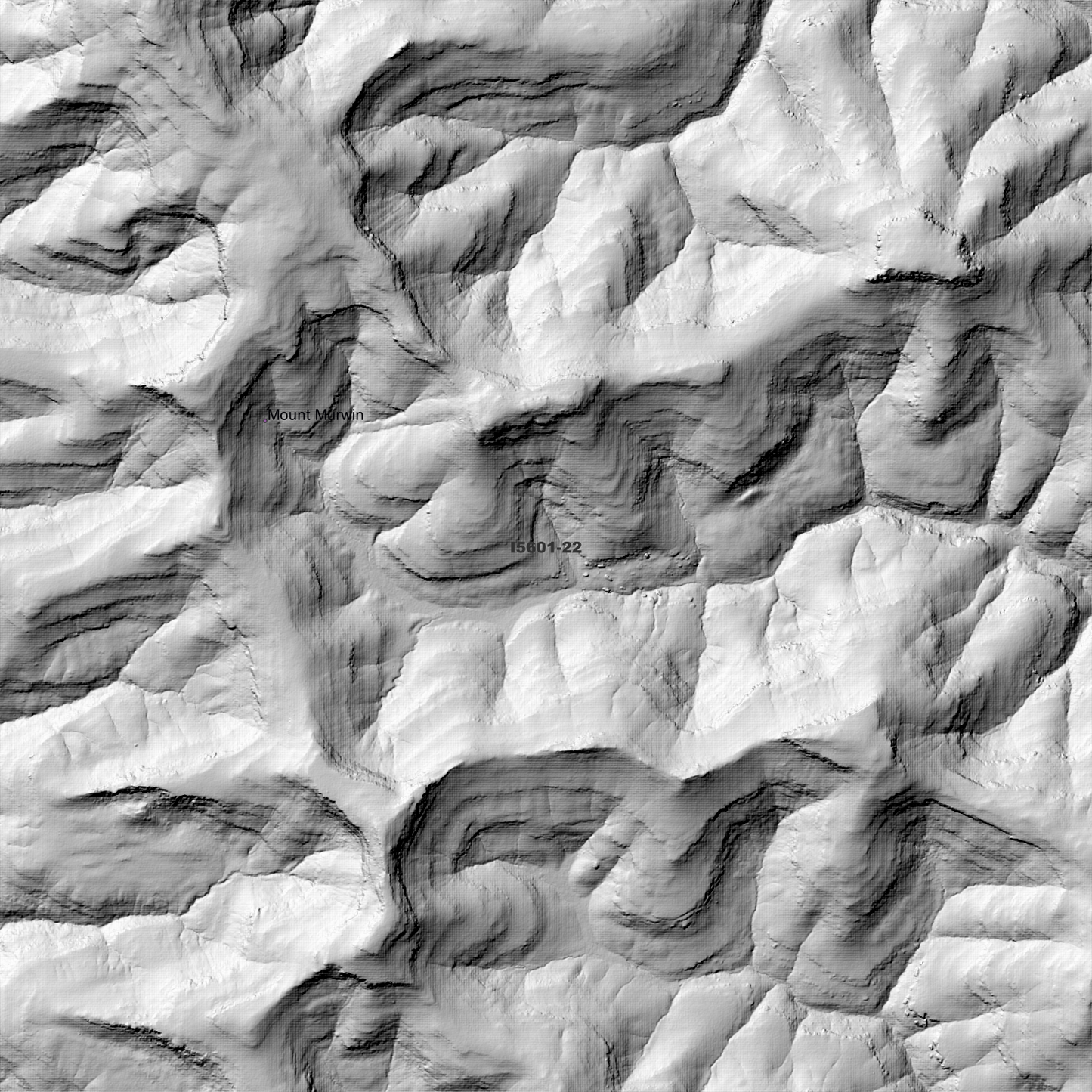 Howes Valley 1m Digital Elevation Model (I5601-22)