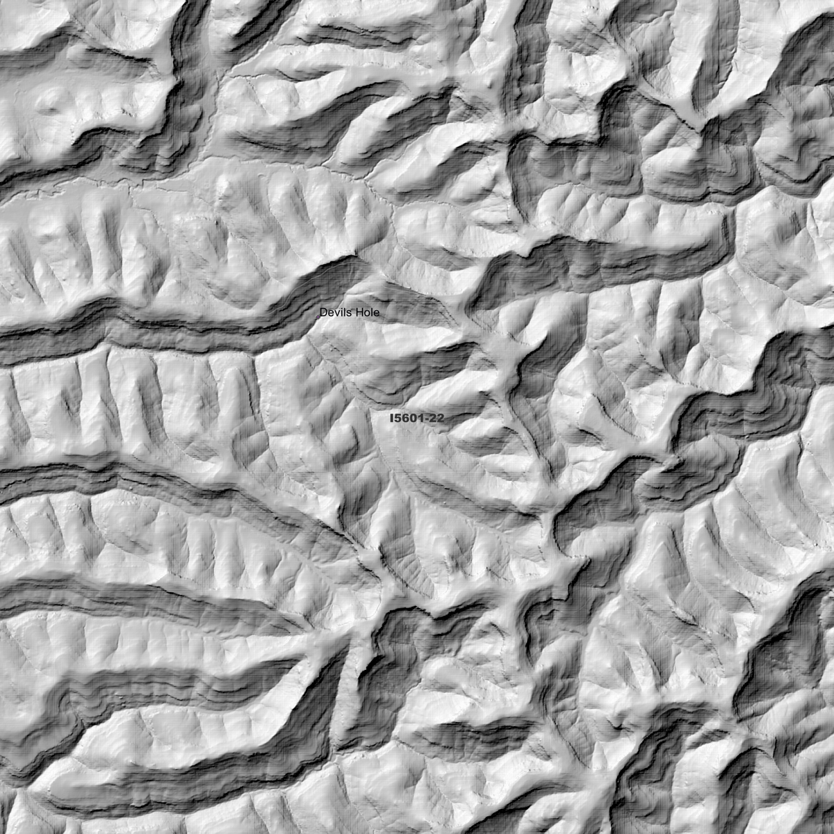 Howes Valley 1m & 2m Digital Elevation Models (I5601-22)