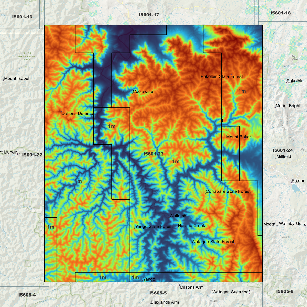 Wollombi 1m Digital Elevation Models (I5601-23)