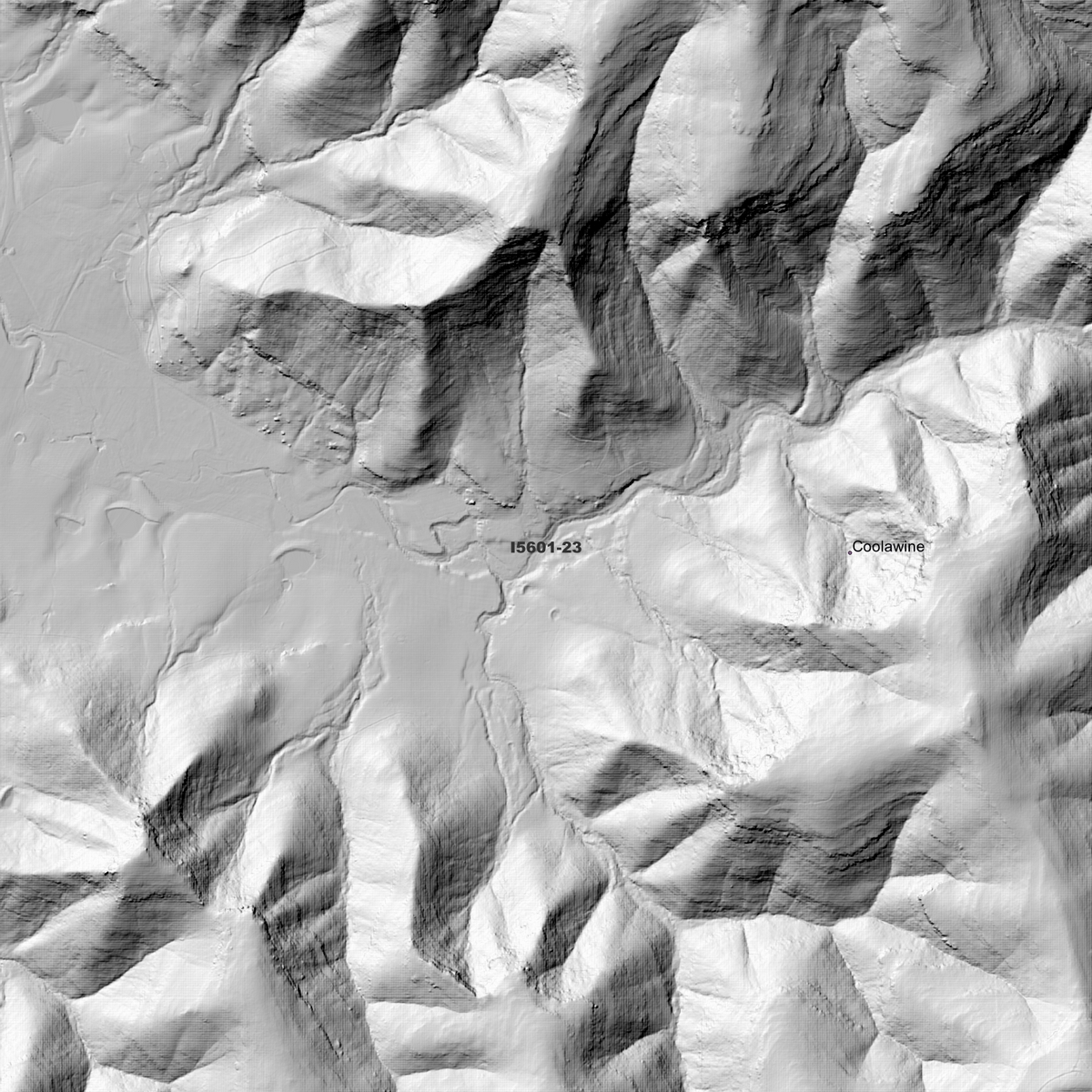 Wollombi 1m Digital Elevation Models (I5601-23)