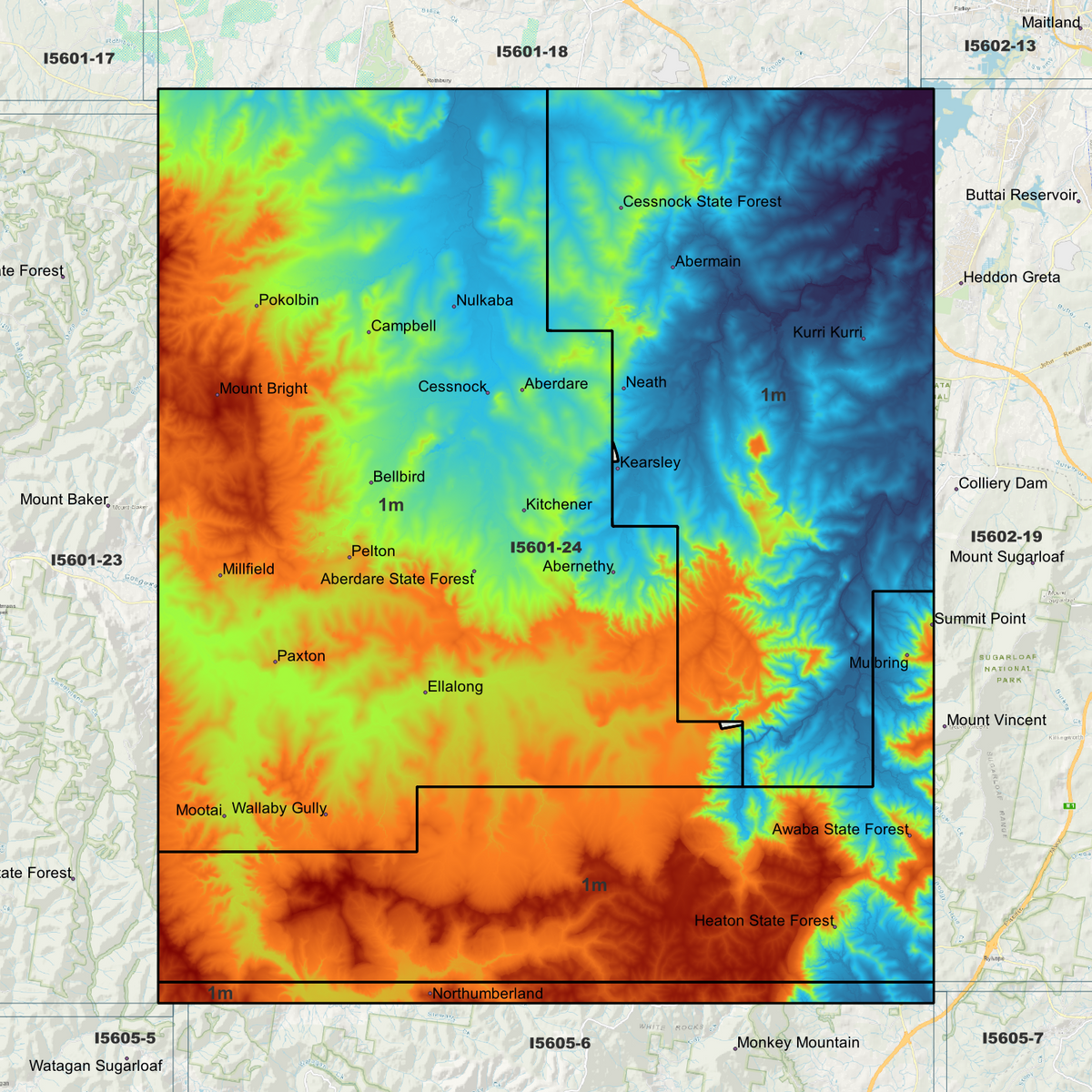 Cessnock 1m Digital Elevation Models (I5601-24)
