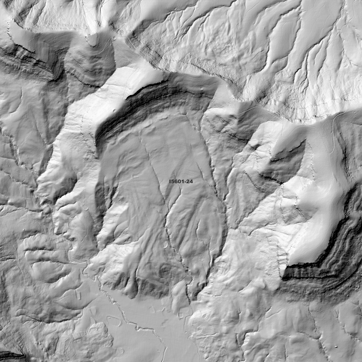 Cessnock 1m Digital Elevation Models (I5601-24)