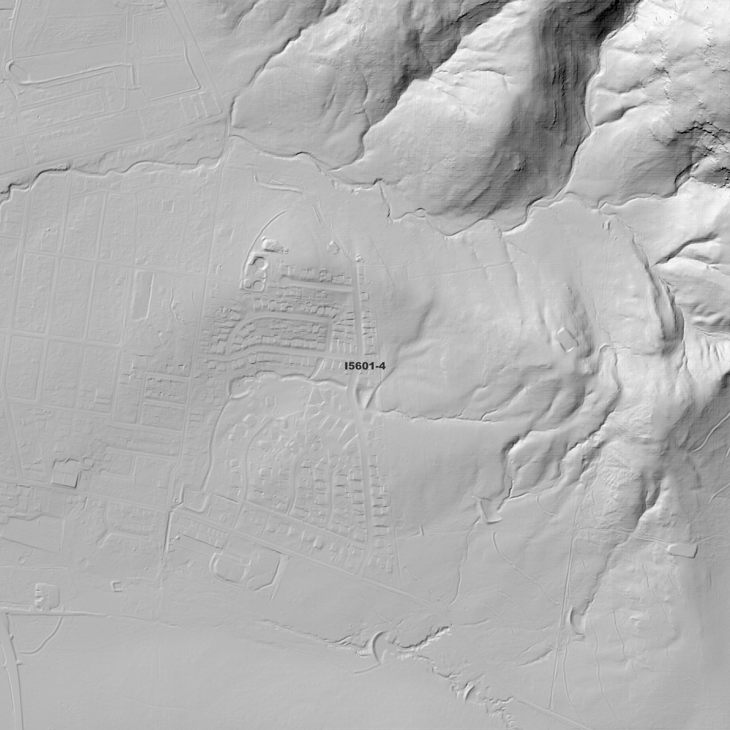 Scone 1m Digital Elevation Model (I5601-4)