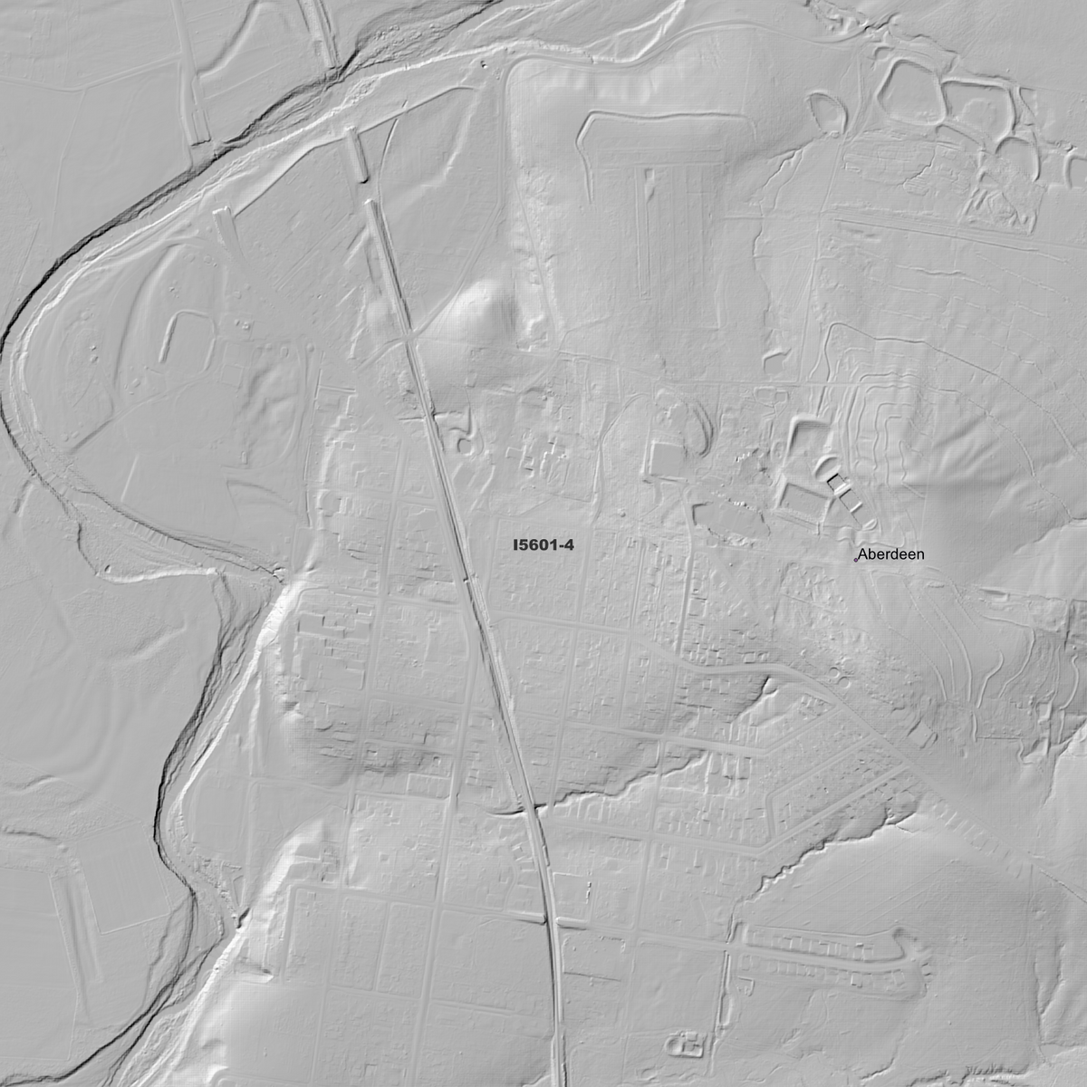Scone 1m & 2m Digital Elevation Models (I5601-4)