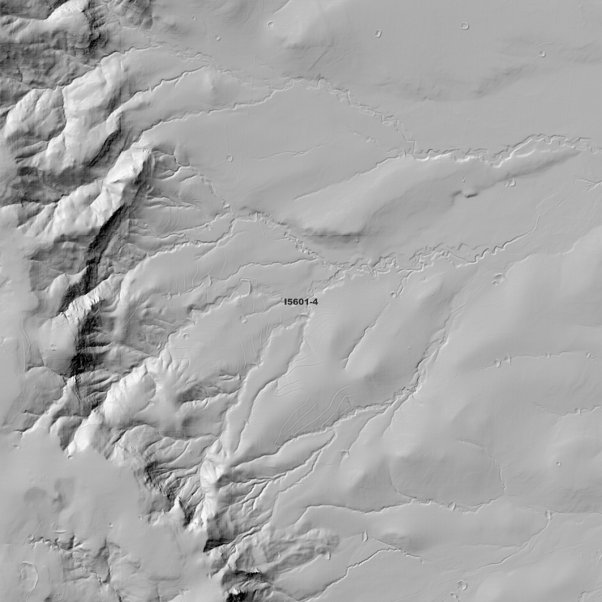 Scone 1m & 2m Digital Elevation Models (I5601-4)